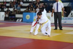IMG_8411