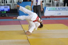 IMG_8455