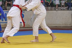 IMG_7233