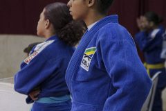 IMG_6233