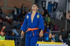 IMG_1542