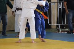 IMG_0768