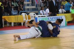 IMG_0824