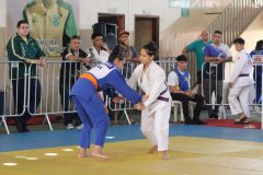 IMG_1117
