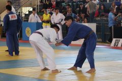 IMG_1233