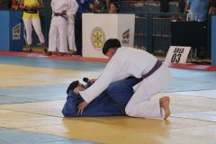 IMG_1236