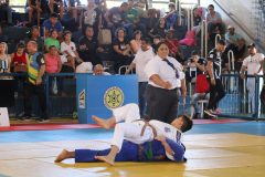 IMG_1311