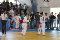 IMG_1532