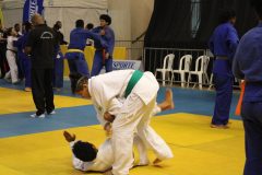 IMG_1030