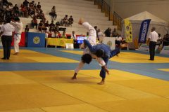 IMG_1266