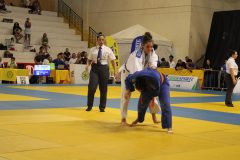 IMG_1937
