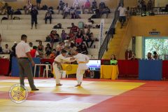 IMG_1950-2