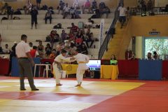 IMG_1950