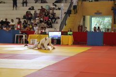 IMG_1951