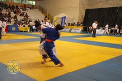IMG_1984-2