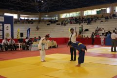 IMG_2084