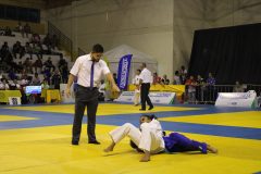 IMG_5284