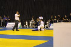 IMG_5512