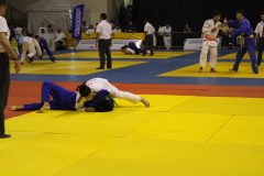 IMG_5948