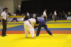 IMG_5976