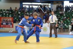 v2_884445cb-b878-477e-b262-d9e644827754