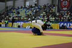 IMG_3884